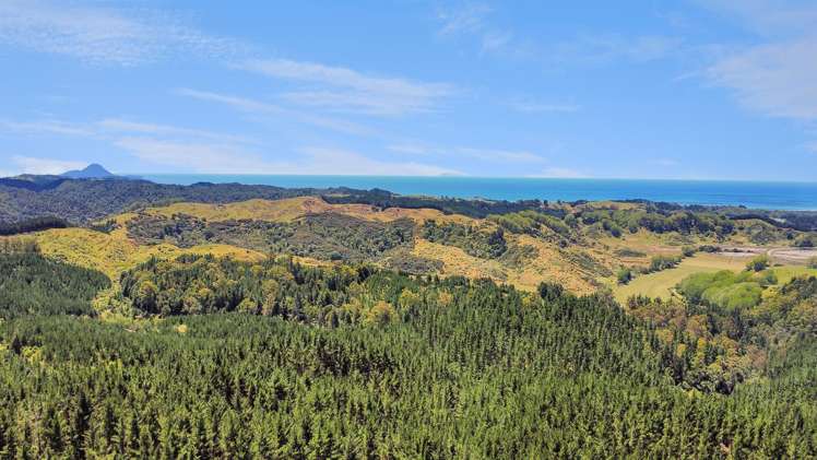 700 Burma Road Maraetotara_6