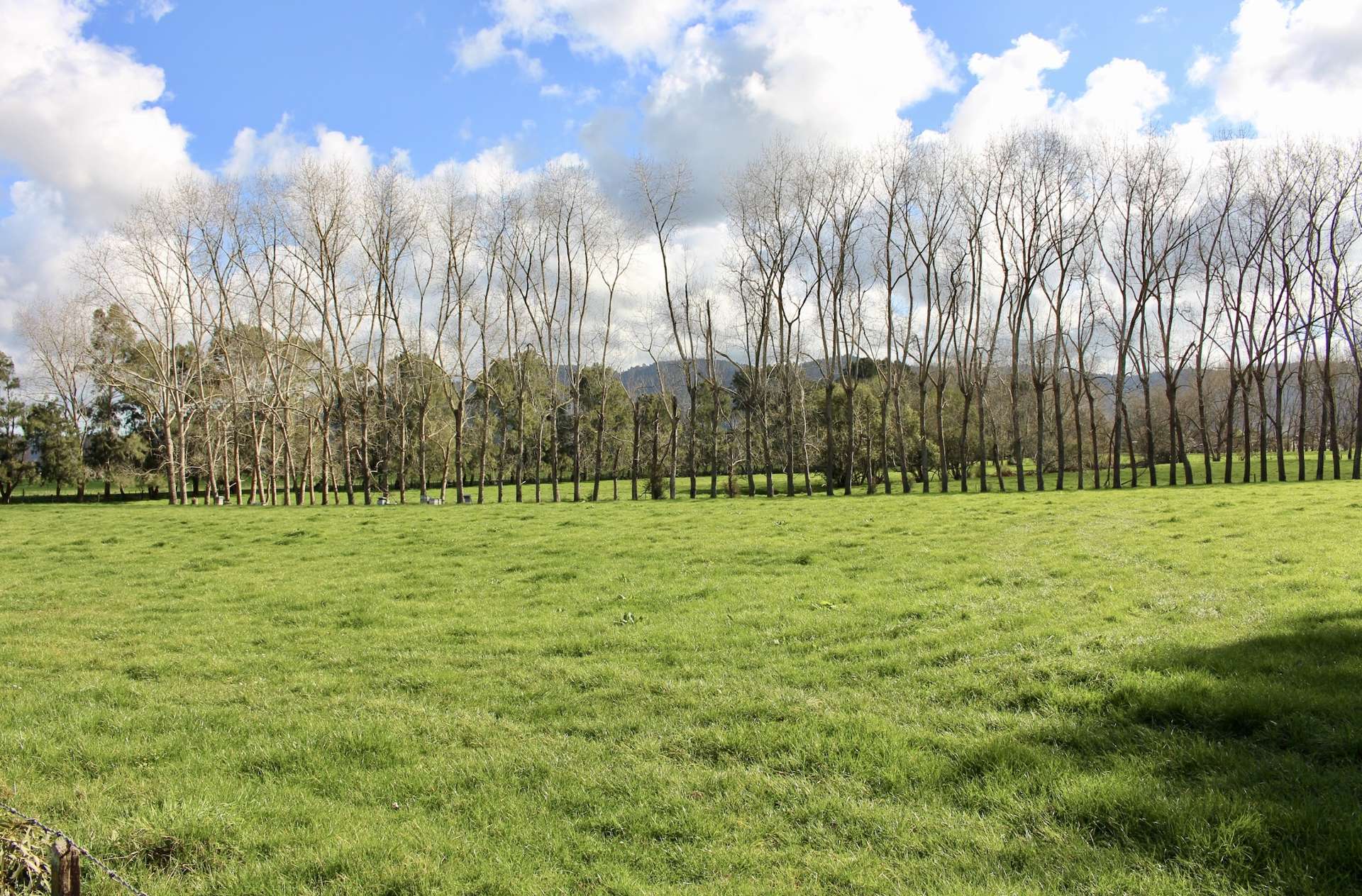 137 Kelm Road Ngaruawahia_0