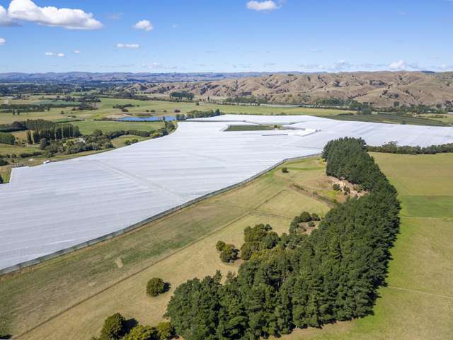 78 Gregs Lane, RD 1 Greytown_2
