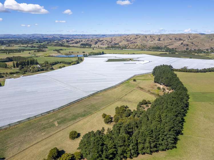 78 Gregs Lane, RD 1 Greytown_2