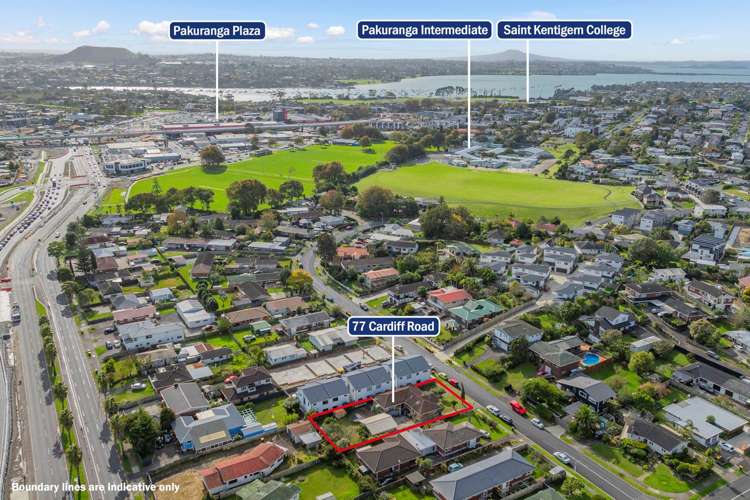 77 Cardiff Road Pakuranga_3