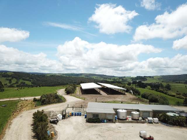 689 Mangatu Road Dargaville Surrounds_4