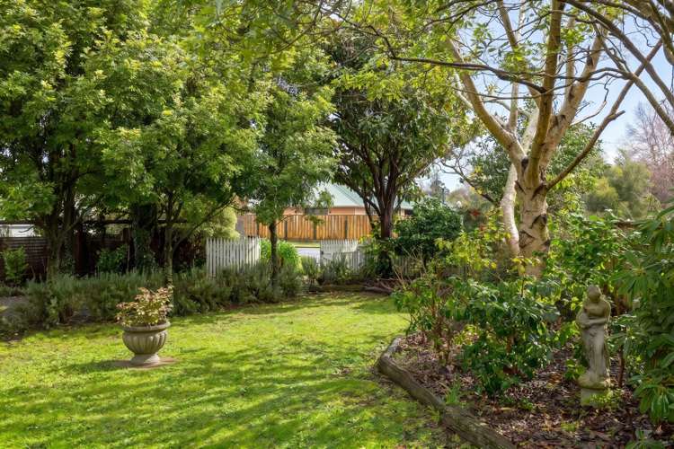 3 Yule Grove Greytown_23