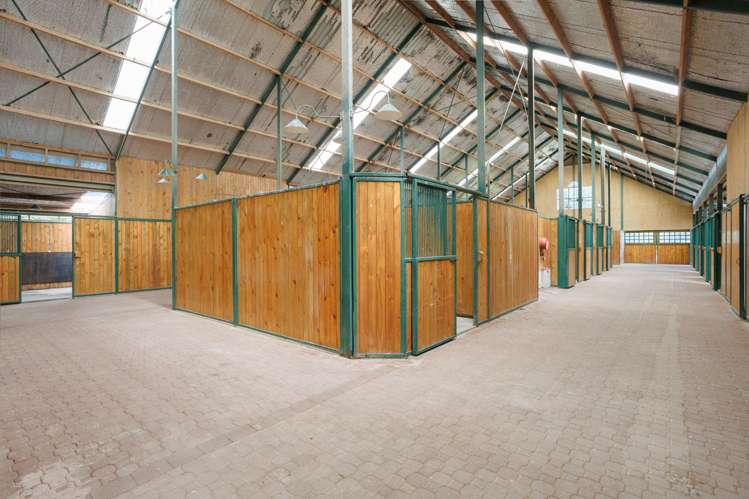 136 Wells Road Okoroire_10