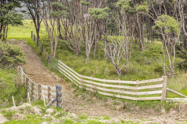 Lot 4 354 Mountain Road Maungaturoto_7