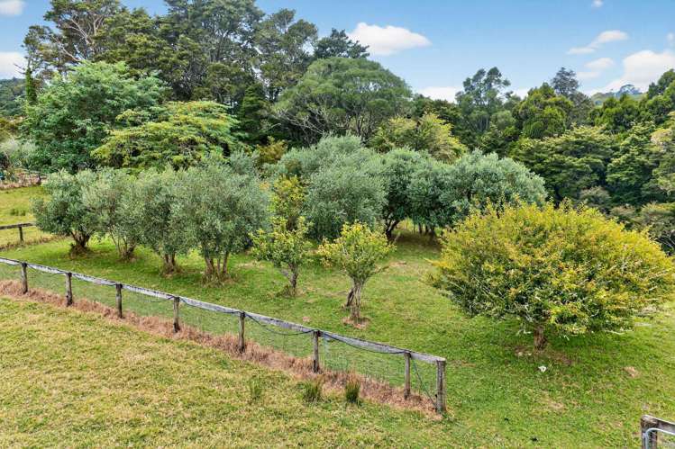 32 Franklin Road Paparoa_32