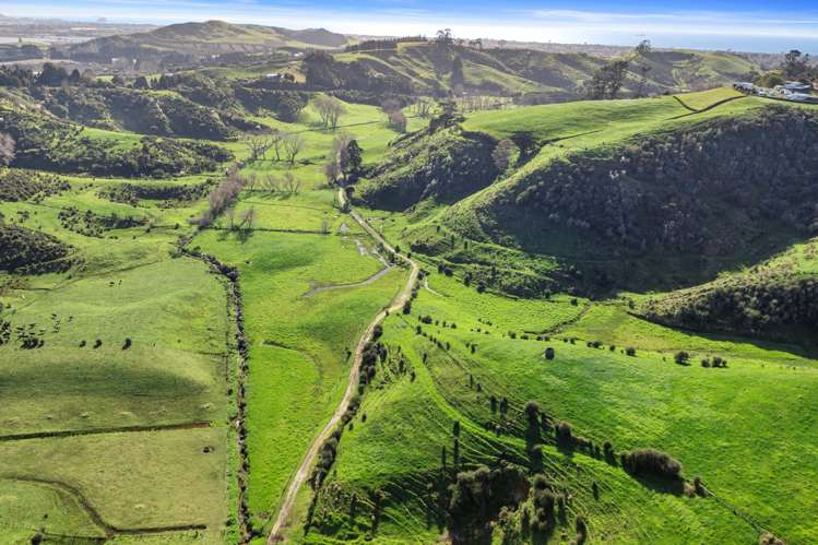 892d Welcome Bay Road Papamoa_15