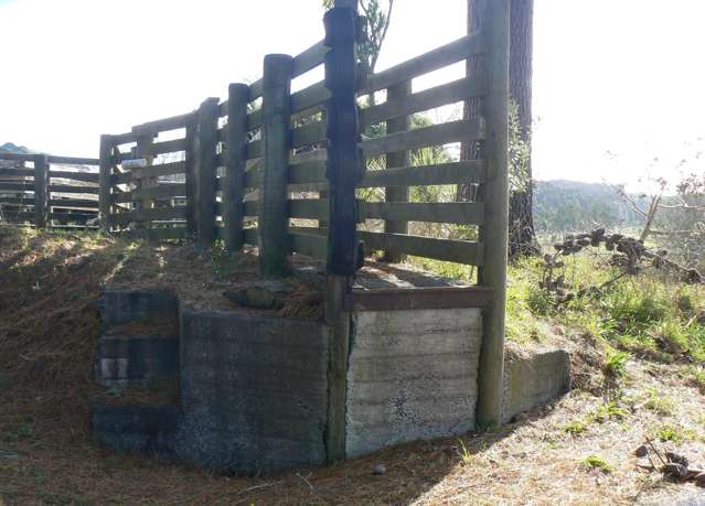 45 Te Akau Coast Road Te Akau_4