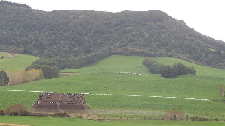 44 Rodgers Road Catlins Surrounds_21