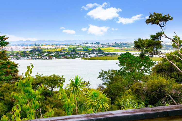 9 Chatham Avenue Paremoremo_21