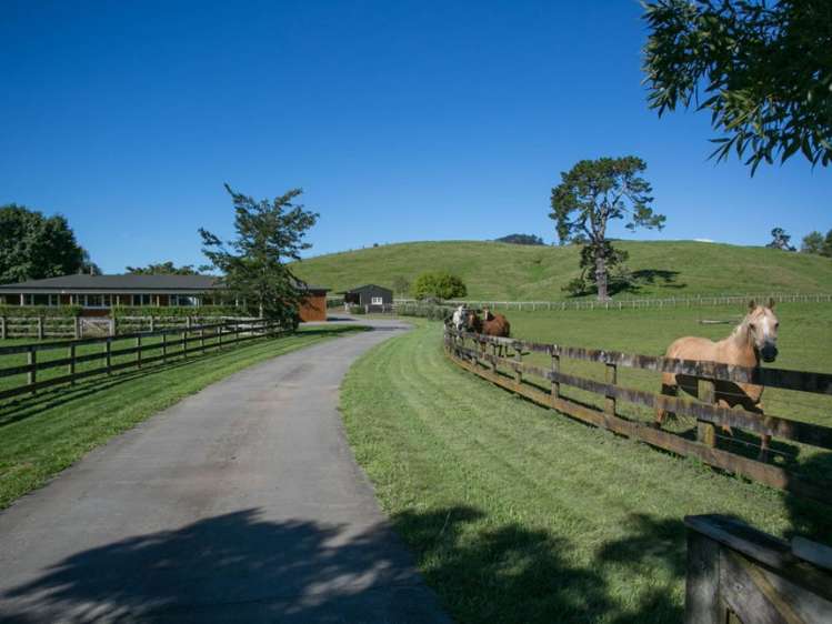 15 Beer Road Tauwhare_22