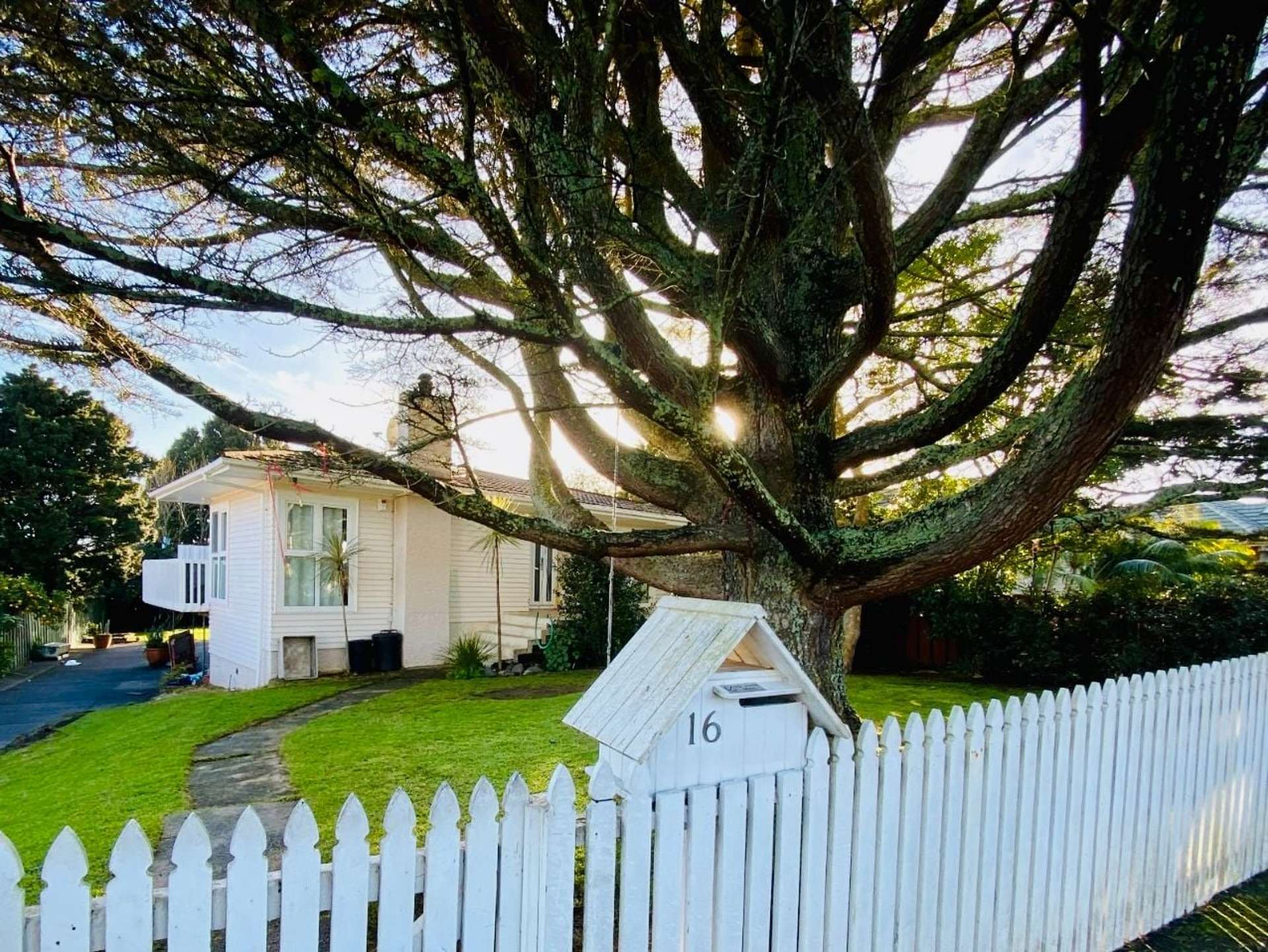 16 Whitehaven Road Glendowie_0
