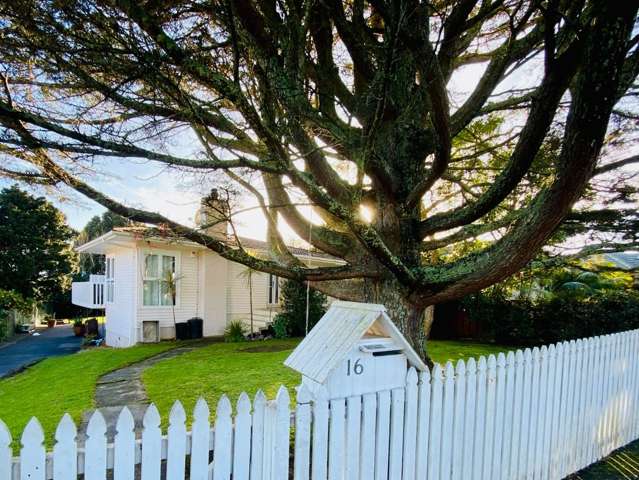 Elegant + Spacious - 4 bed 2 bath 3 living spaces