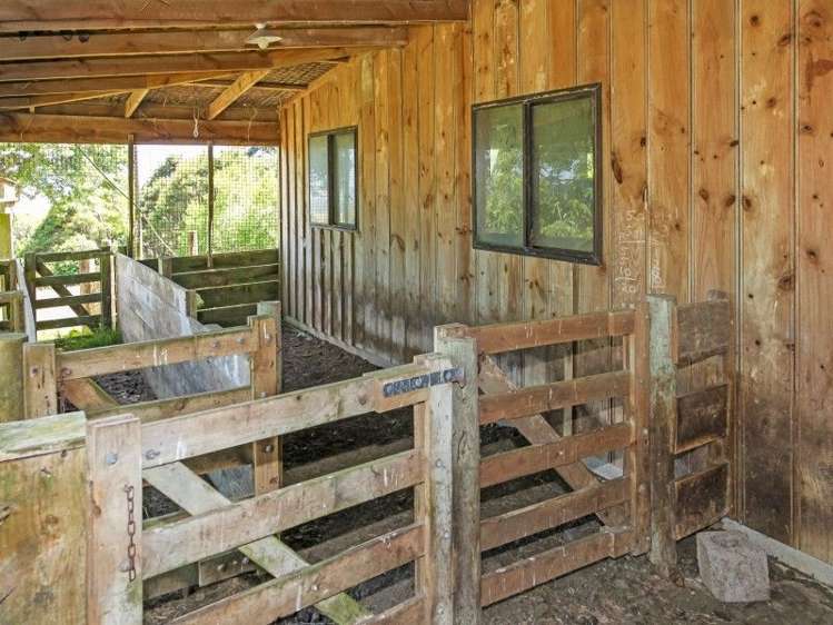 7 Mcgregor Road Clevedon_13