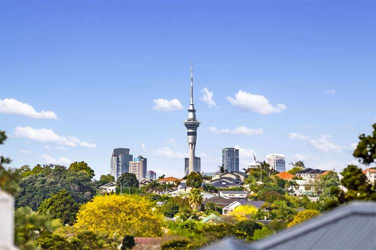 42 Blockhouse Bay Road Avondale_13