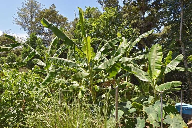 138 Puriri Park Road Maunu_19