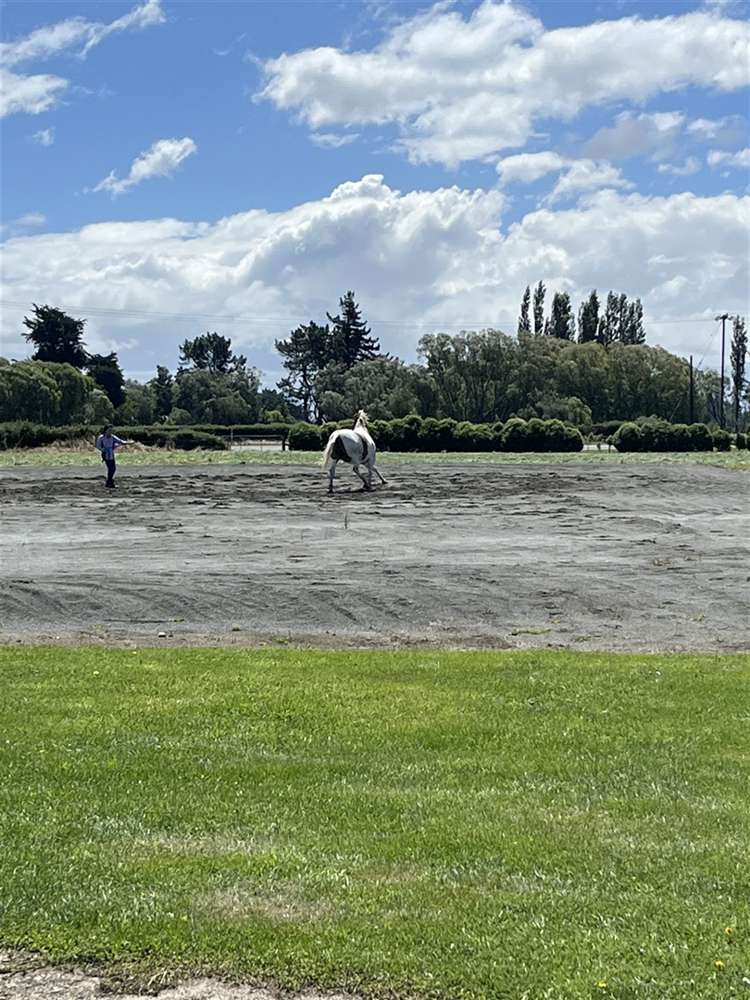 188 Orakipaoa Island Road Temuka_26