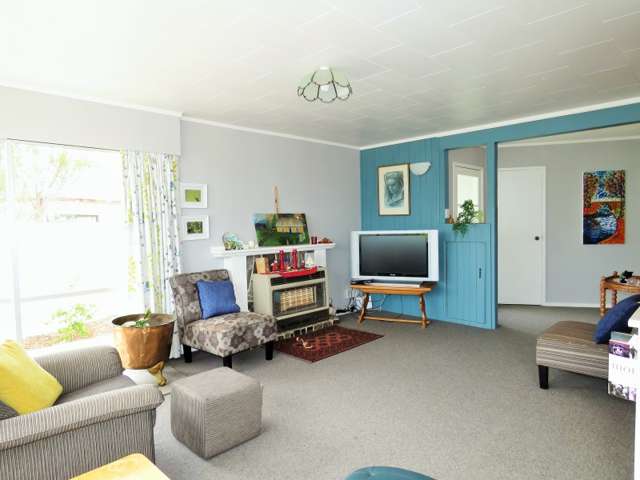 183 Tiro Tiro Road Levin_1