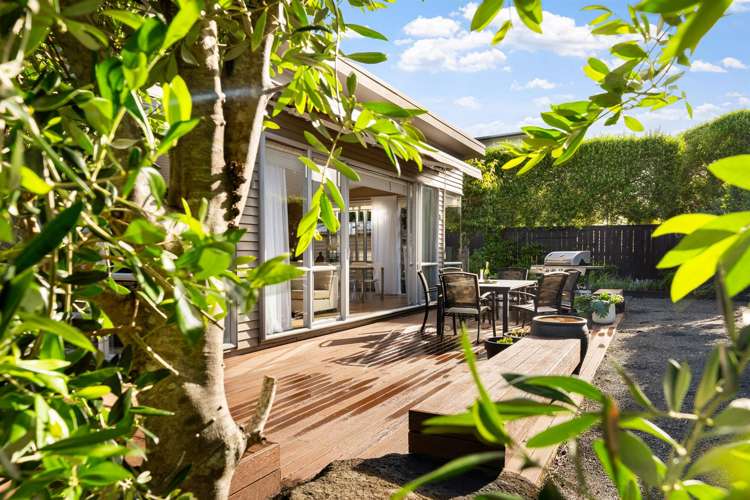 6 Mangatawhiri Road_2