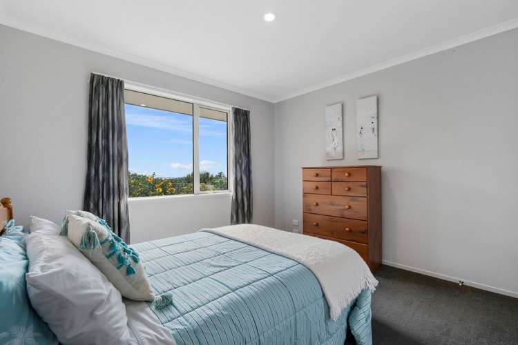 233 Waipapa Block Road Whakamarama_19