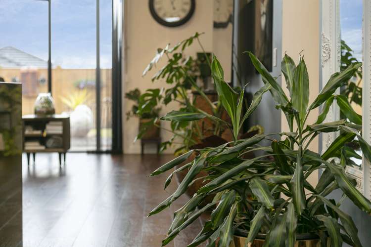 67 Harakeke Drive Wharewaka_12