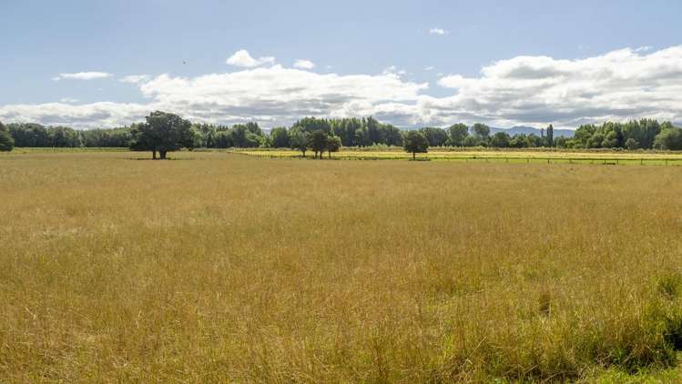 167 Ponatahi Road Martinborough_15
