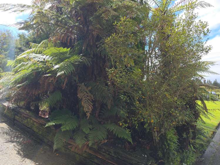 17 Pine Tree Road Kaniere_19