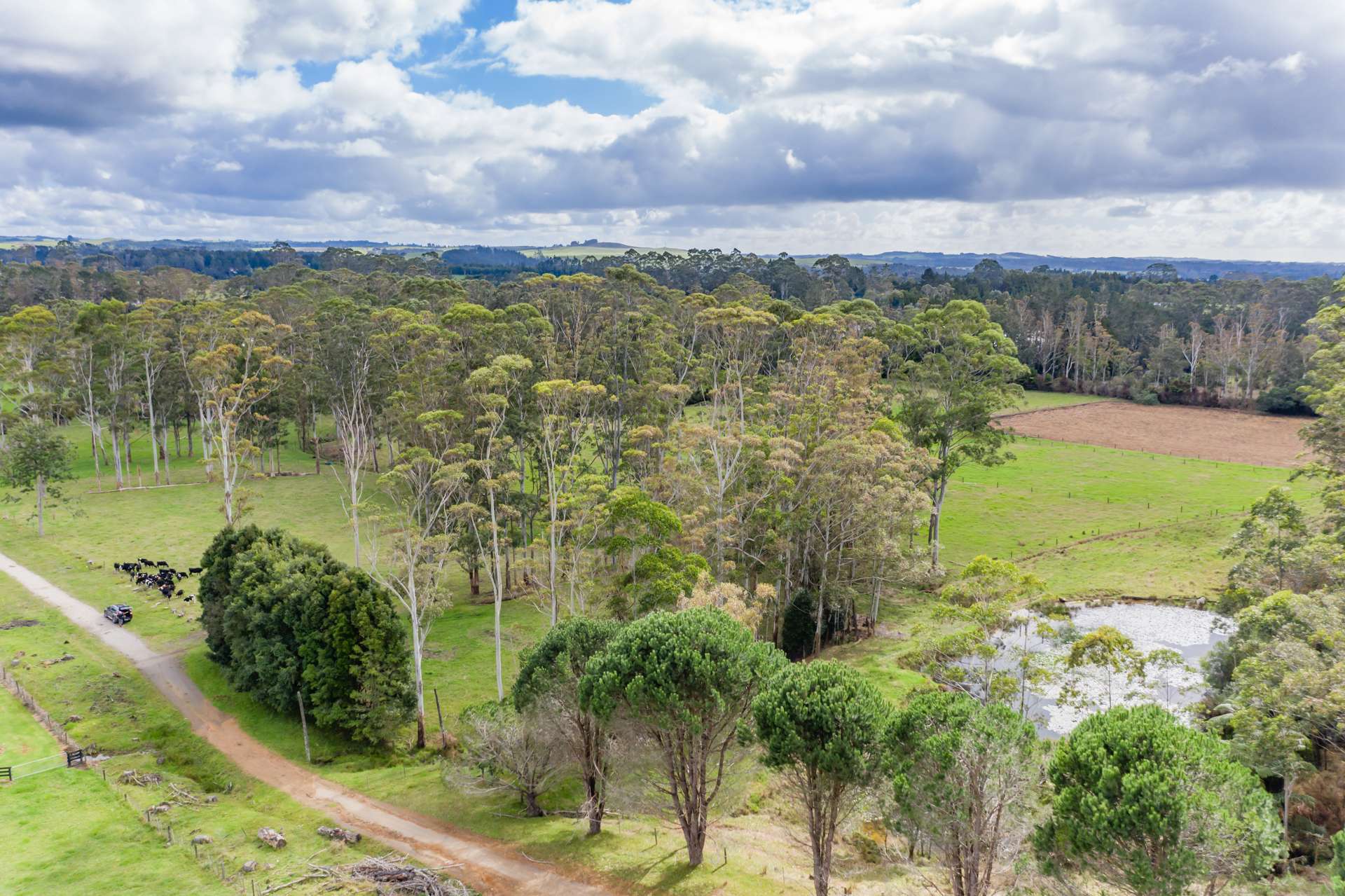 Waimate North Road Kerikeri_0