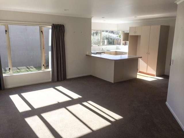 2/21a Boundary Road Claudelands_1
