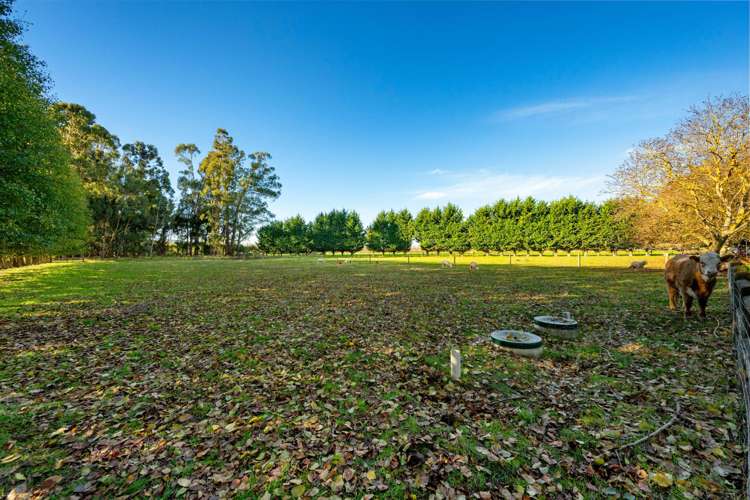 28 Bothams Bend Road Spring Creek_74