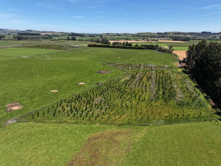 389 Mckenzie Road Browns_22