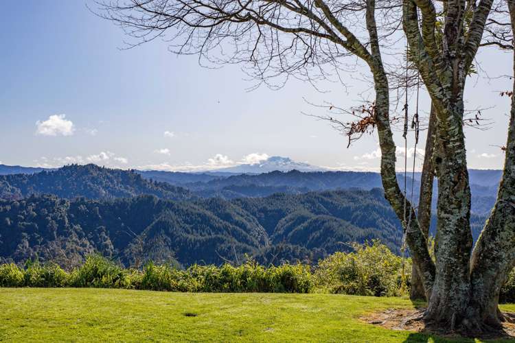 1304 Tokomaru East Road Brunswick_2