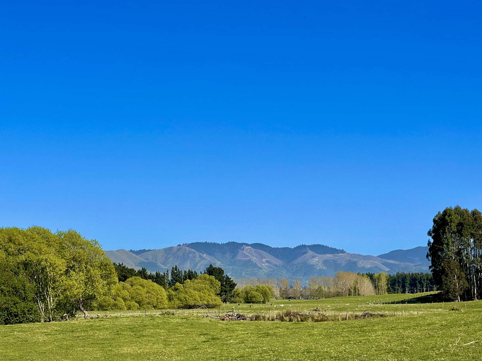lot 3 Maytown Road Waimate_0