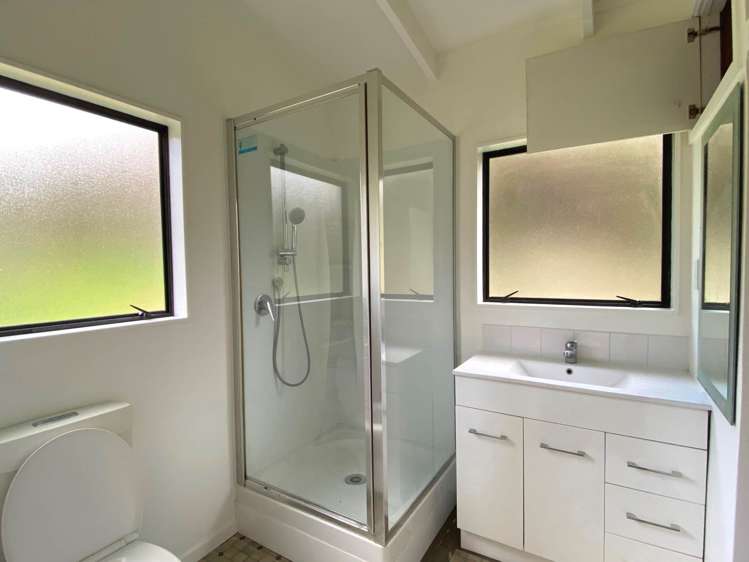 157 Wright Road Dairy Flat_5