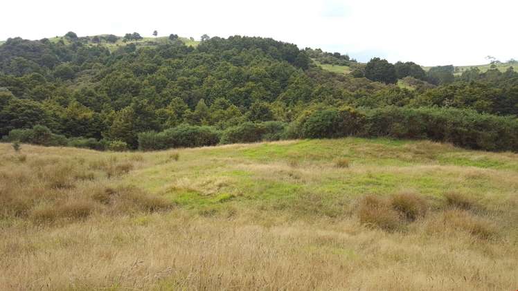 87 Kiwi Lane Kaiwaka_5