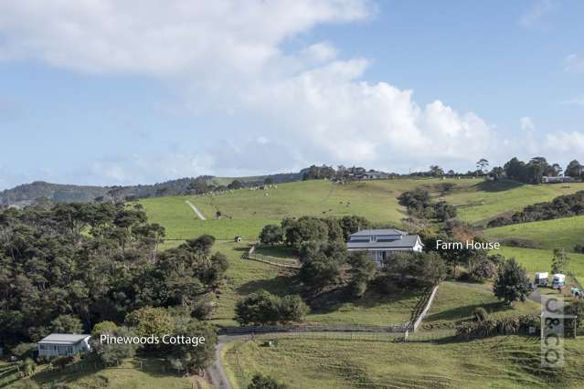 344 Waitakere Road Taupaki_2