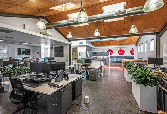 40-42 Ireland Street Freemans Bay_2