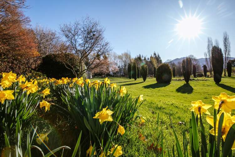 599 Mount Barker Road Wanaka_10