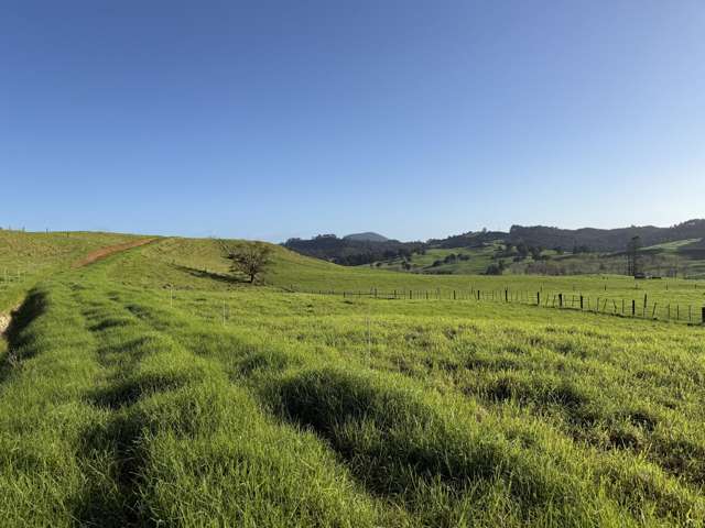 Lot 3 Maungakaramea Road Maungakaramea_3