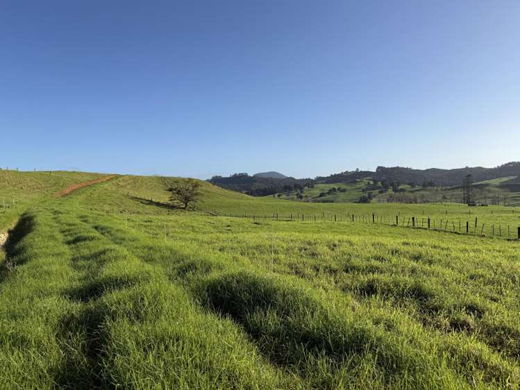 Lot 3 Maungakaramea Road_3