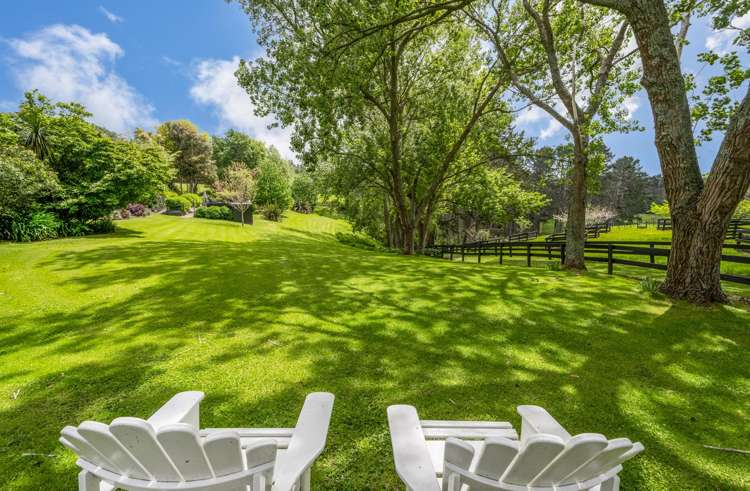 18 Ara-Kotinga Whitford_6