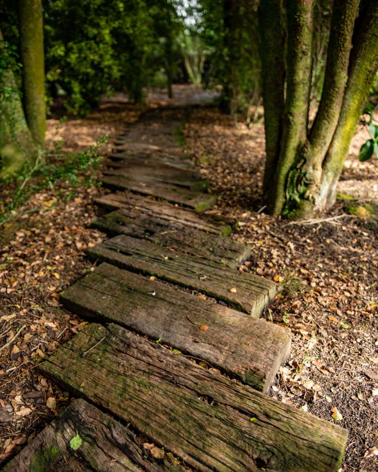 239 Redwood Street Witherlea_41