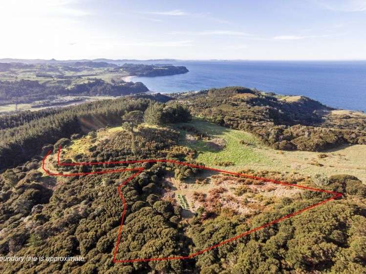 425l Boat Harbour Road Whenuakite_5