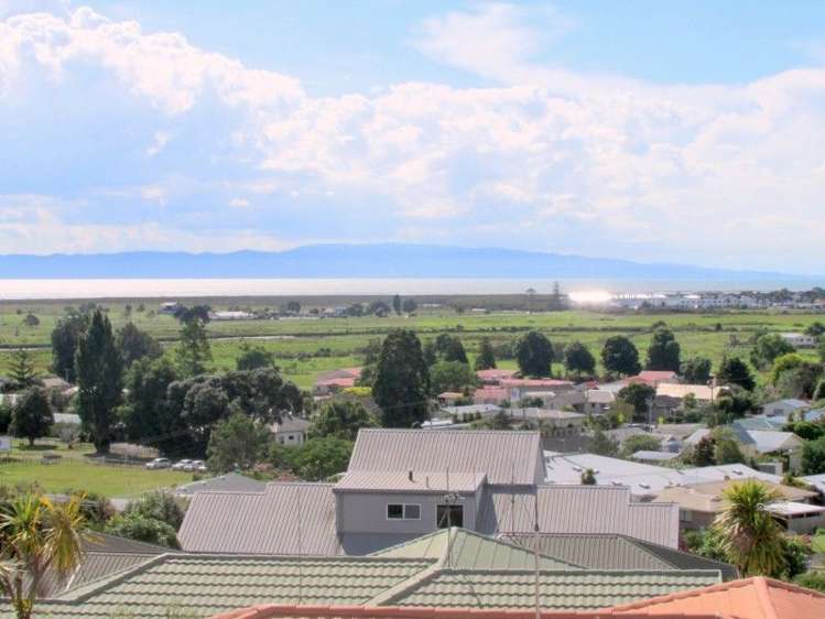 106 Whitehead Way Thames_14