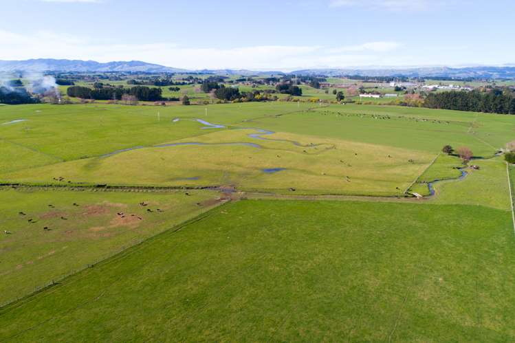 50 Nannestads Line Bunnythorpe_9