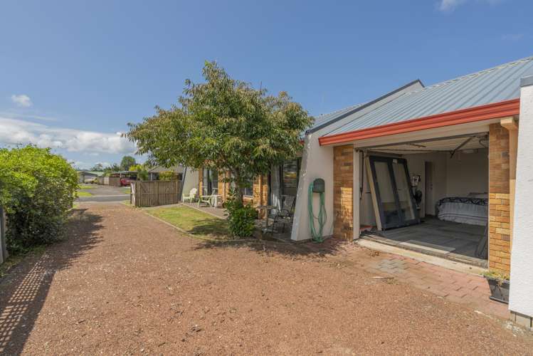 7 Springbok Avenue Whitianga_15