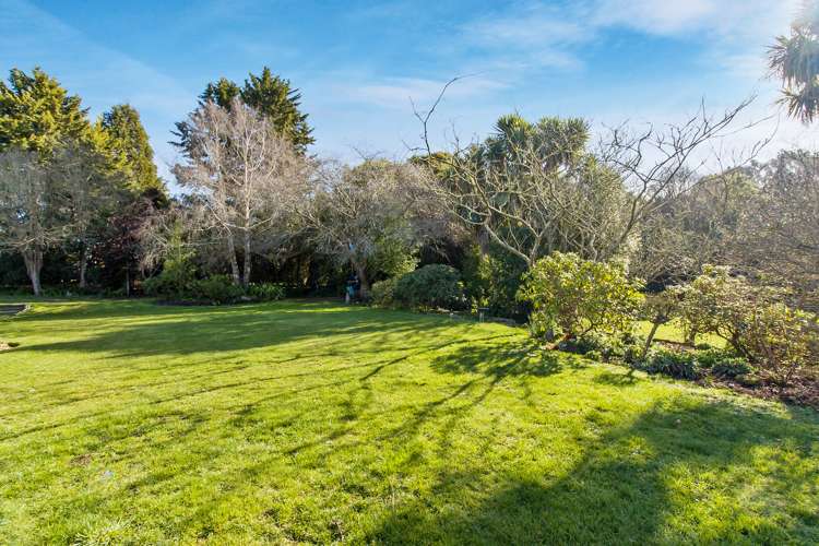 63 Jellicoe Street Ruawai_20