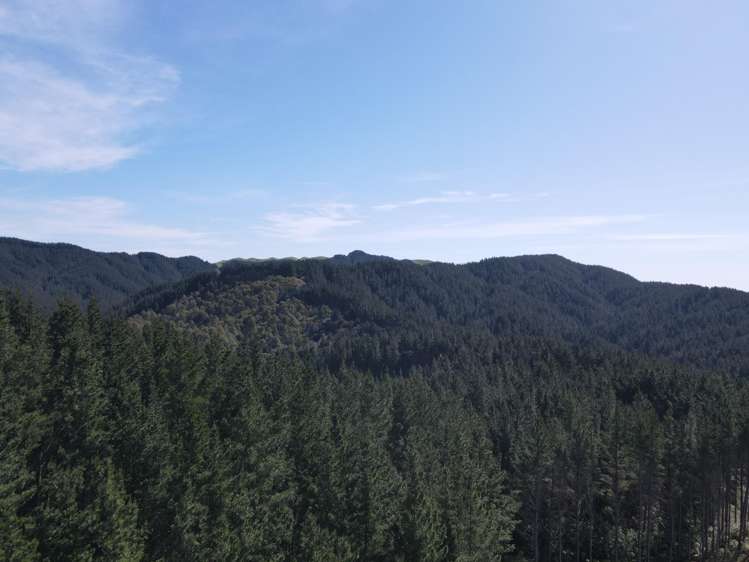 353 Pretoria Road Shannon_15