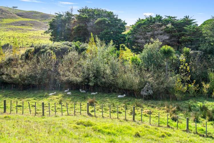 502 Scottys Camp Road Baylys Beach_23