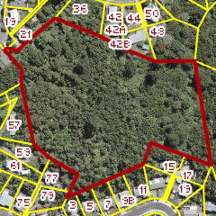 36 Castle Crescent Stokes Valley_5